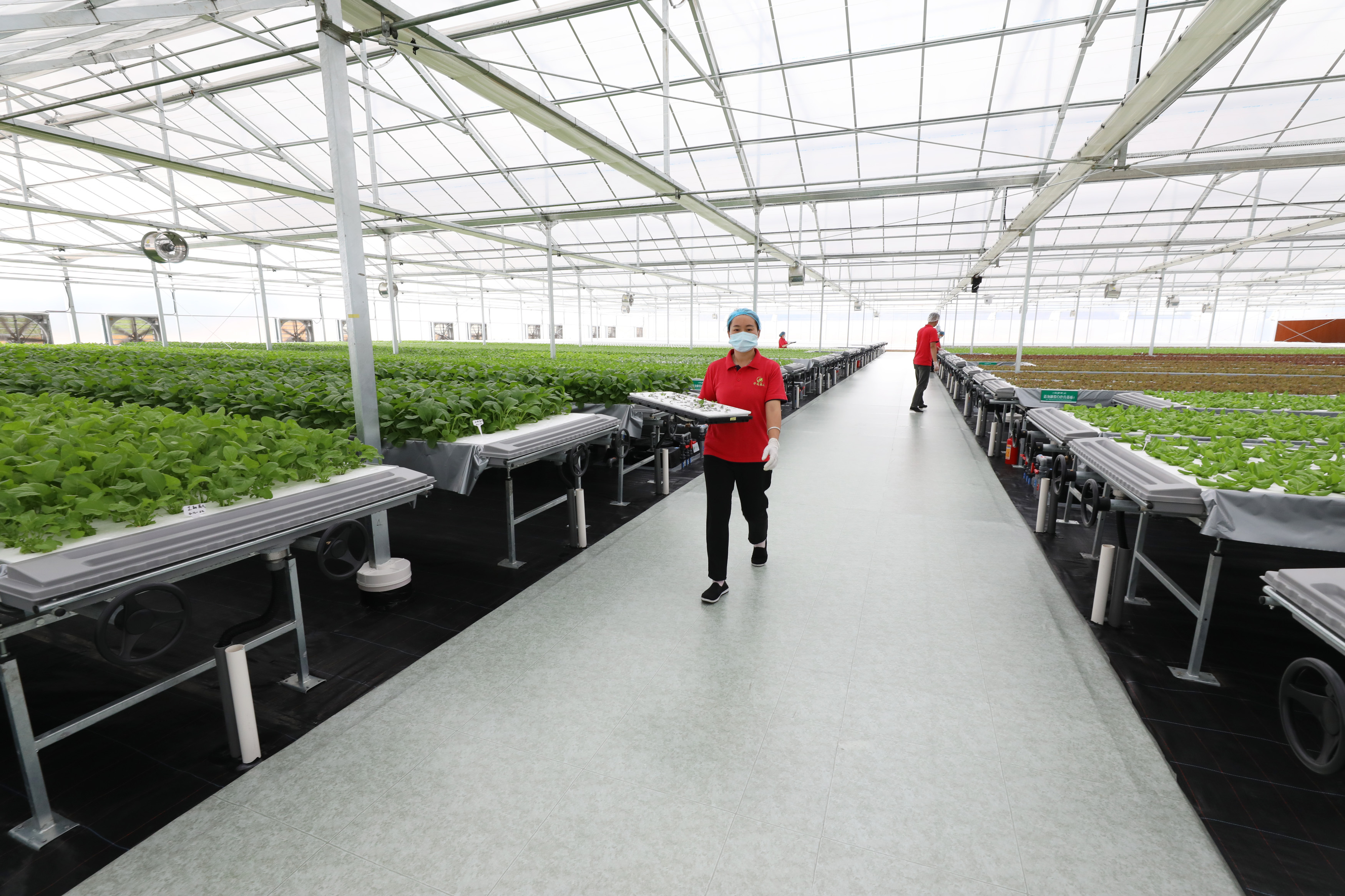 src=http _inews.gtimg.com_newsapp_match_0_11712033358_0.jpg&refer=http _inews.gtimg.com&app=2002&size=f9999,10000&q=a80&n=0&g=0n&fmt=jpeg